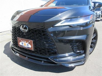 2023 Lexus RX photo 2