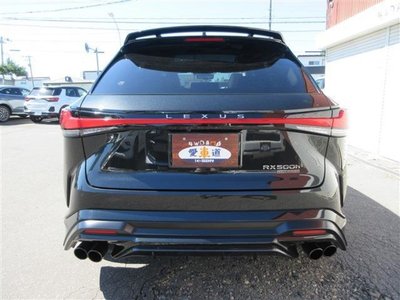 2023 Lexus RX photo 6