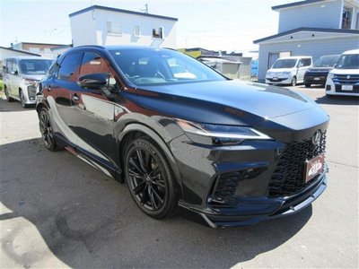 2023 Lexus RX photo 9
