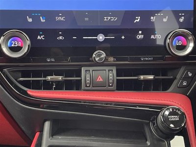 2023 Lexus NX thumbnail 21
