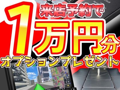 2002 Toyota MEGA CRUISER 照片 10