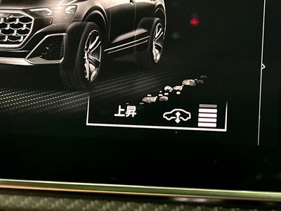 2025 AUDI SQ8 thumbnail 30