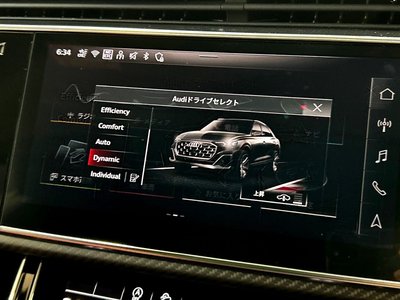 2025 AUDI SQ8 thumbnail 28