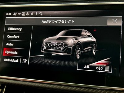 2025 AUDI SQ8 thumbnail 29