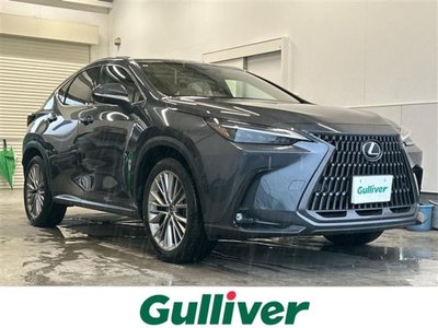 2022 Lexus NX photo 1