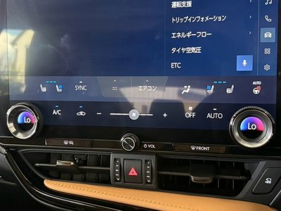 صورة مصغرة 50 لـ 2023 Lexus NX