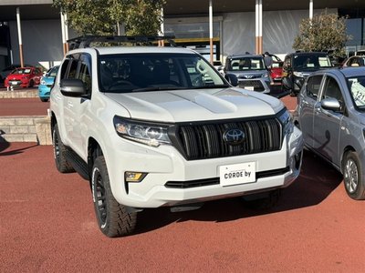 2017 Toyota LAND CRUISER PRADO 照片 14