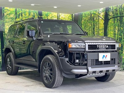 2025 Toyota LAND CRUISER 250 thumbnail 17