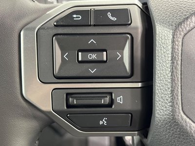 2025 Toyota LAND CRUISER 250 thumbnail 30