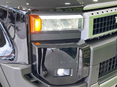 2025 Toyota LAND CRUISER 250 photo 13
