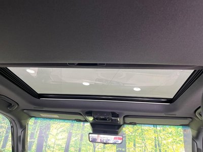 2025 Toyota LAND CRUISER 250 photo 4