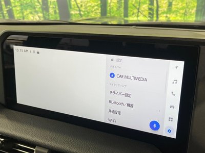 2025 Toyota LAND CRUISER 250 thumbnail 37