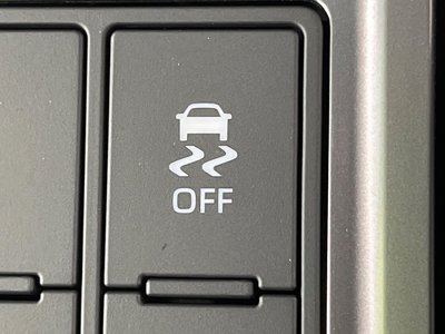 2025 Toyota LAND CRUISER 250 thumbnail 44