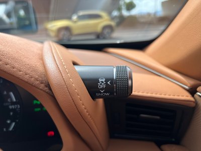 2021 Lexus LC CONVERTIBLE 照片 41