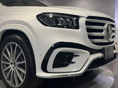 2025 Mercedes-BENZ GLS thumbnail 31
