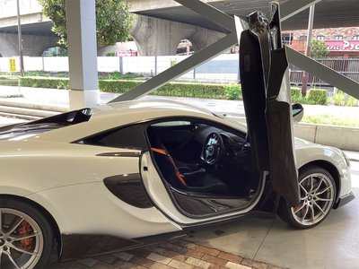 2019 Mclaren 600LT 缩略图 2