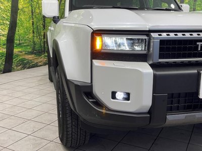 2026 Toyota LAND CRUISER 250 缩略图 12