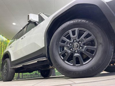 2026 Toyota LAND CRUISER 250 缩略图 72