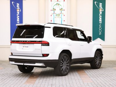 2025 Lexus GX 缩略图 26
