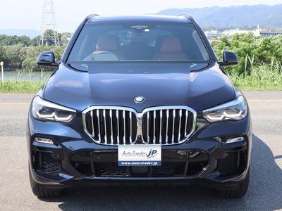 2019 BMW X5 缩略图 29