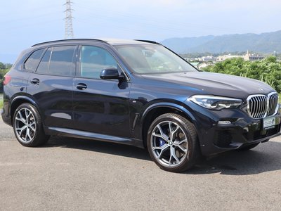 2019 BMW X5 缩略图 79