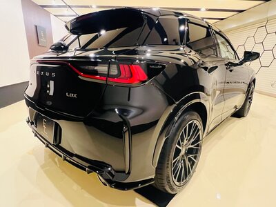 2025 Lexus LBX photo 8