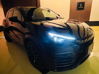 2025 Lexus LBX thumbnail 64