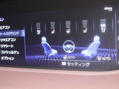 2018 Lexus LS photo 13
