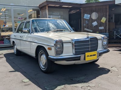 1975 Mercedes-BENZ MEDIUM-CLASS photo 8