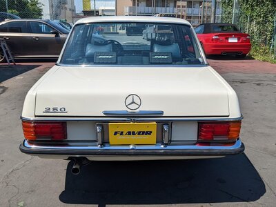 1975 Mercedes-BENZ MEDIUM-CLASS photo 5