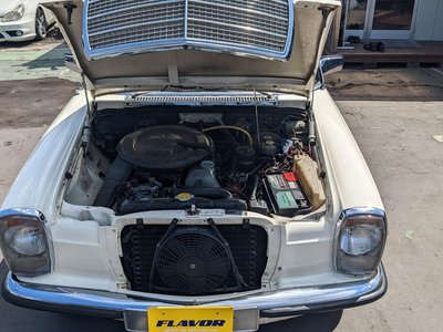1975 Mercedes-BENZ MEDIUM-CLASS photo 9
