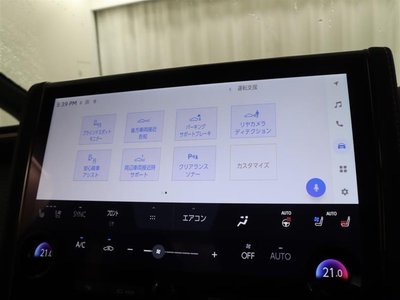 2025 Toyota ALPHARD 照片 25