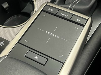 2021 Lexus RX — фото 58