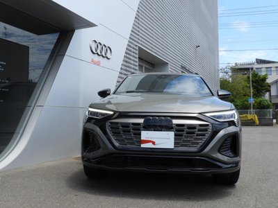 2025 AUDI Q8 E-TRON 缩略图 2