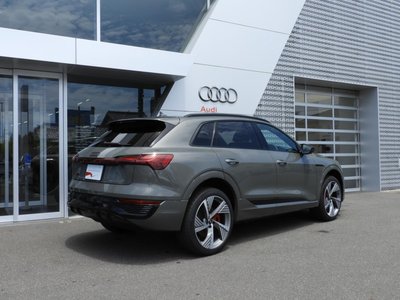 2025 AUDI Q8 E-TRON 缩略图 4