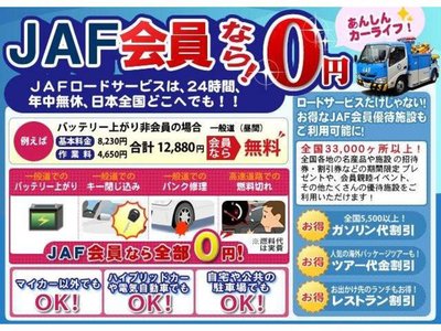 2025 Toyota ALPHARD 照片 39