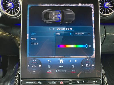 2025 Mercedes-BENZ GT AMG photo 11