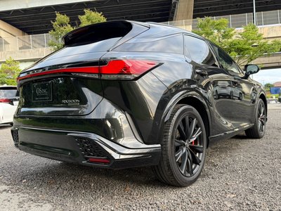 2023 Lexus RX thumbnail 30