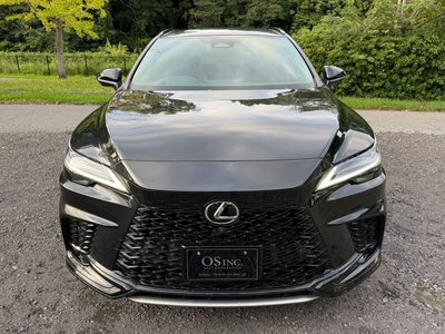 2023 Lexus RX thumbnail 25