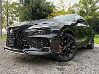 2023 Lexus RX photo 10