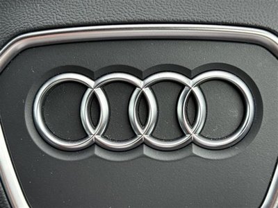 2023 AUDI Q8 thumbnail 17