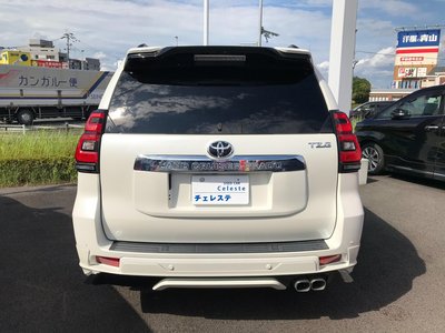 2021 Toyota LAND CRUISER PRADO 照片 8