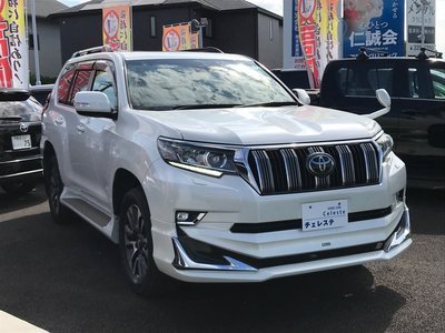 2021 Toyota LAND CRUISER PRADO 照片 5