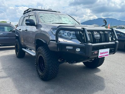 2019 Toyota LAND CRUISER PRADO photo 3