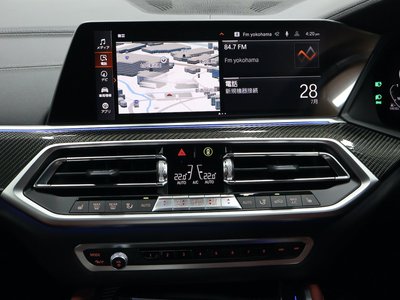 2022 BMW X6 thumbnail 17