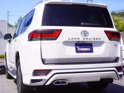2023 Toyota LAND CRUISER 300 — фото 14