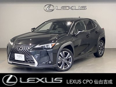 2024 Lexus UX — фото 1