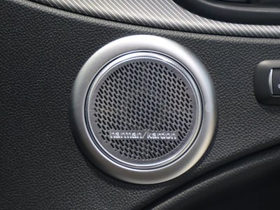 2025 ALFA Romeo STELVIO — миниатюра 27