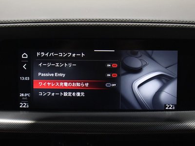 2025 ALFA Romeo STELVIO — миниатюра 44