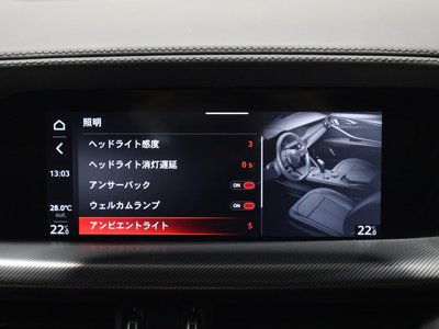 2025 ALFA Romeo STELVIO — миниатюра 43